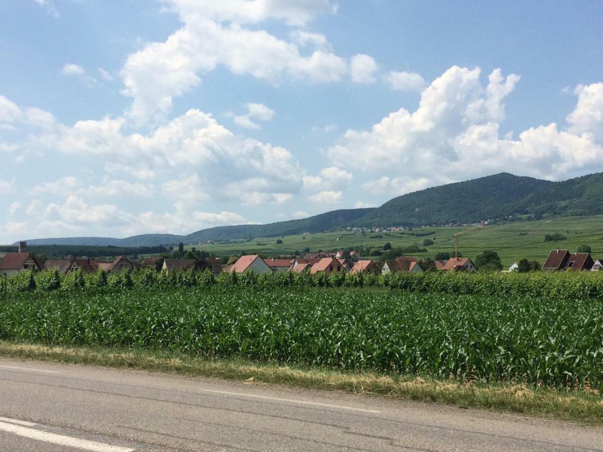 Gîte Smart'In Eguisheim Exterior foto